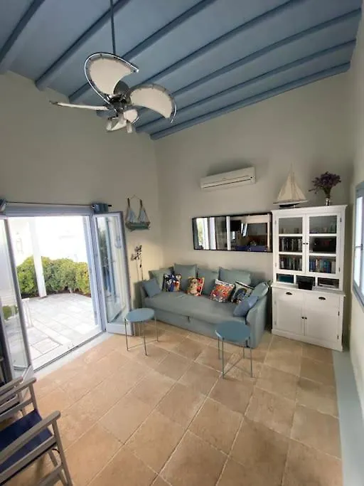 Mimosa House Villa Ornos  Tatil Evi